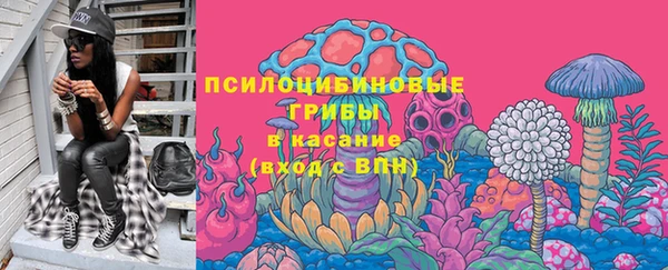 гидра Верея