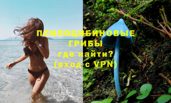 гидра Верея