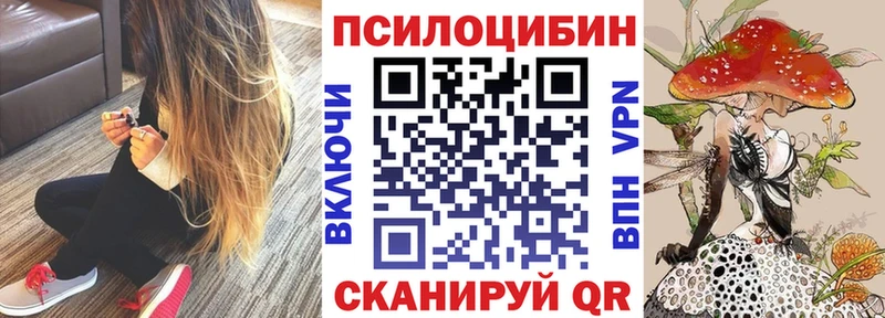 Псилоцибиновые грибы GOLDEN TEACHER  Купить закладки  Лесосибирск 